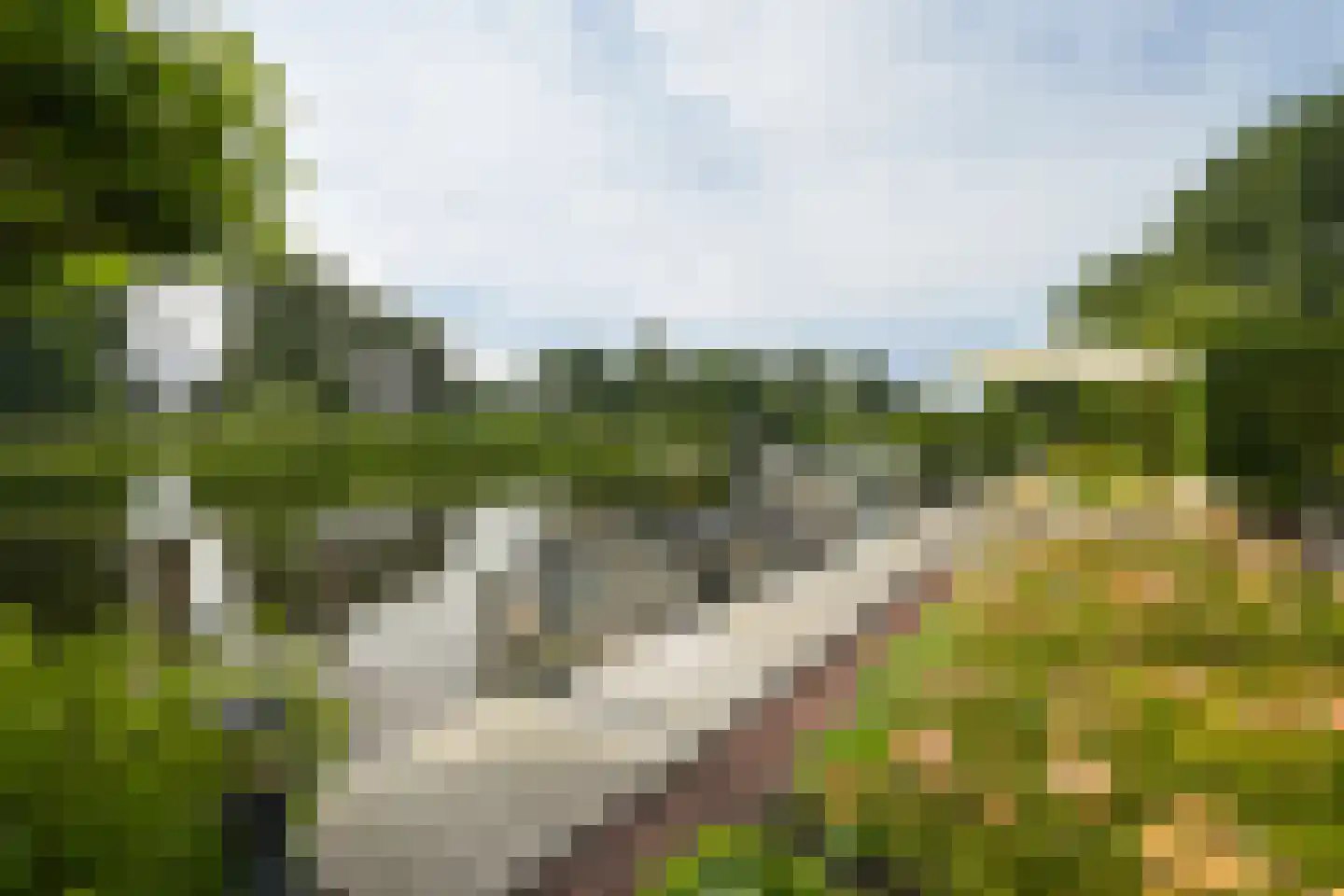 Roerdomperf 12 Voorschoten thumbnail 10