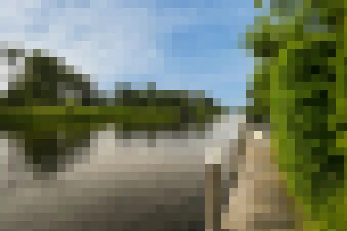 Roerdomperf 12 Voorschoten thumbnail 11