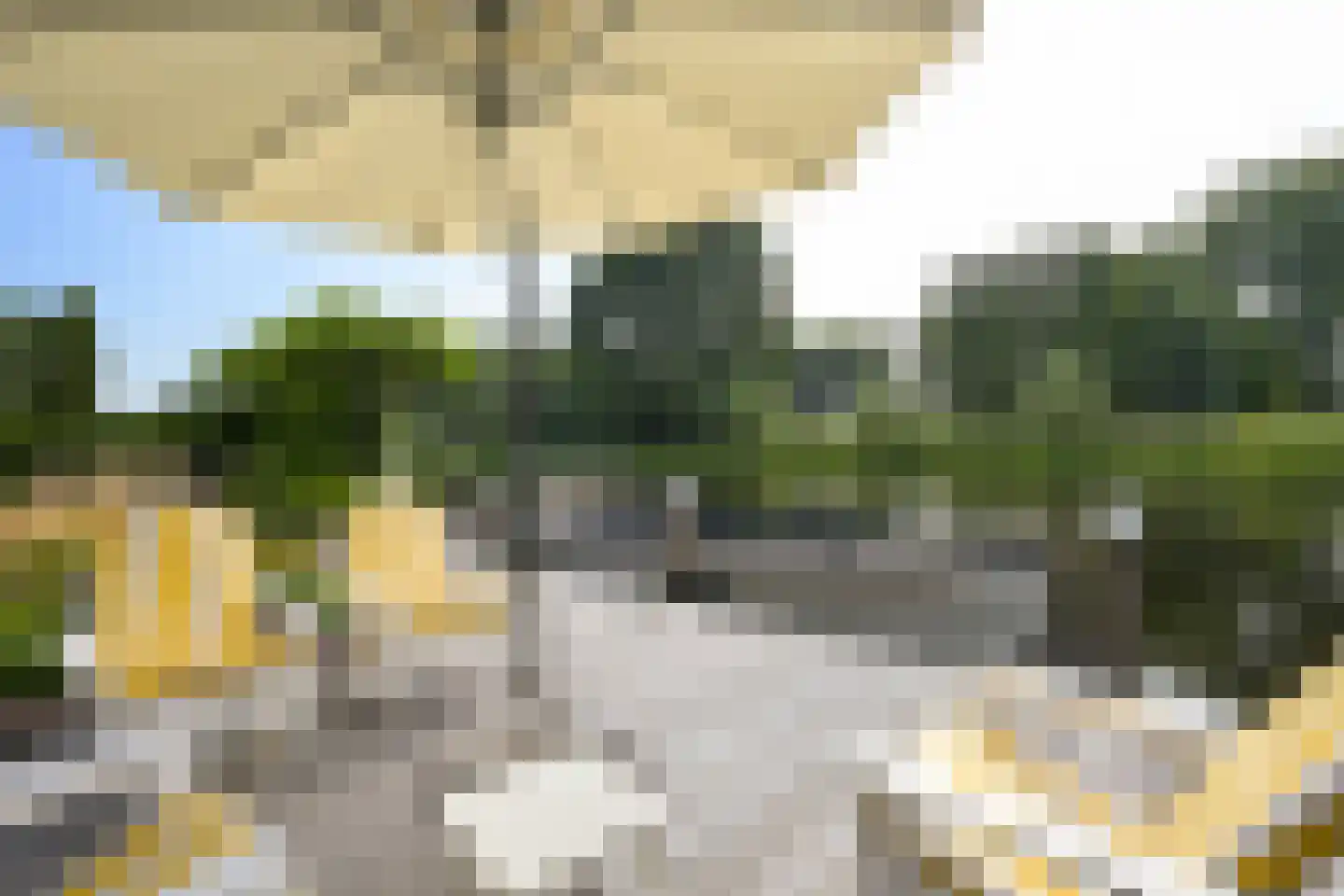 Roerdomperf 12 Voorschoten thumbnail 12