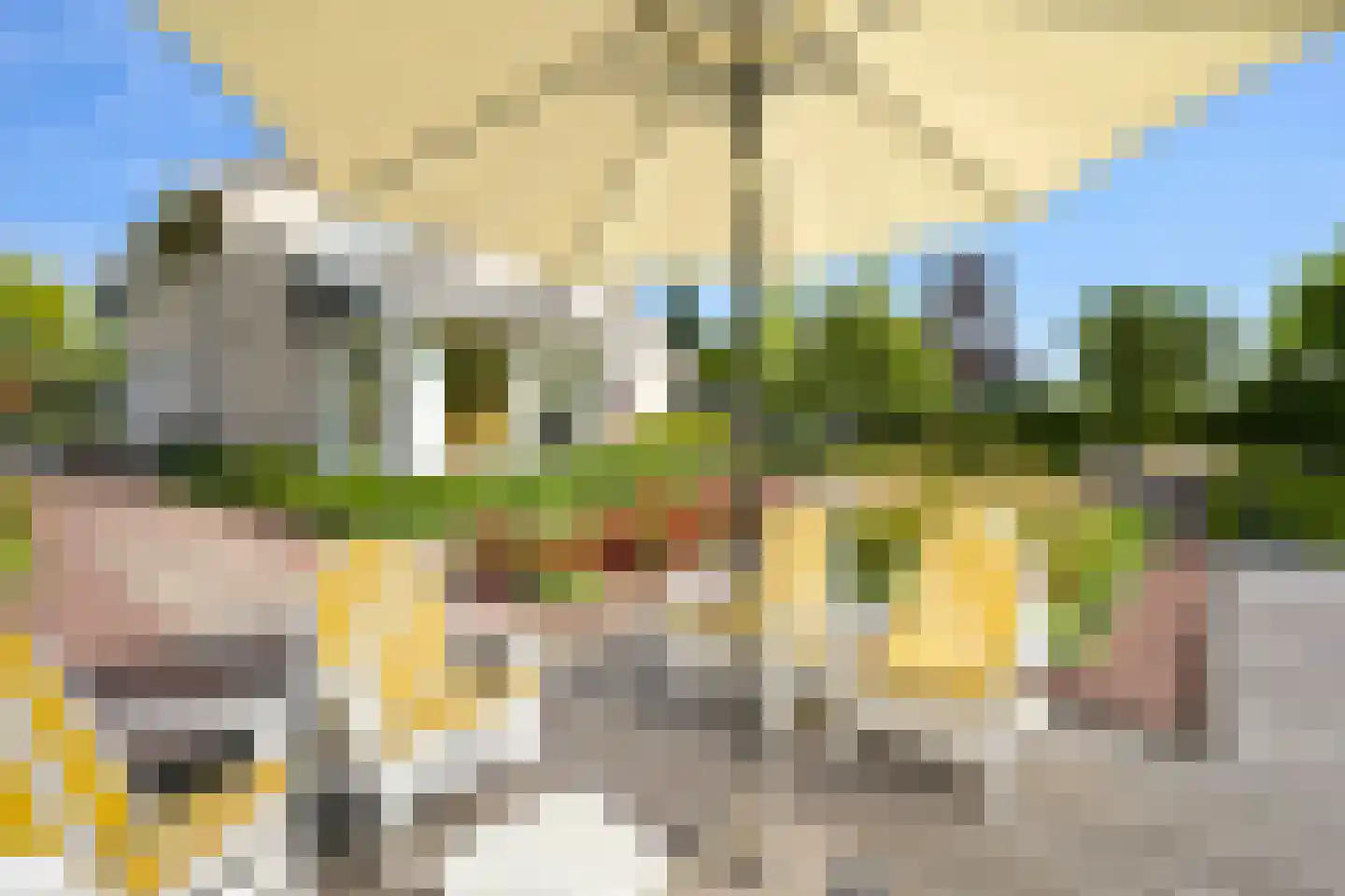 Roerdomperf 12 Voorschoten thumbnail 13