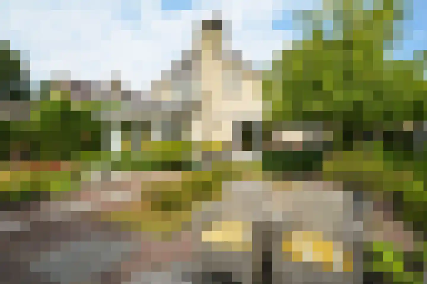 Roerdomperf 12 Voorschoten thumbnail 14
