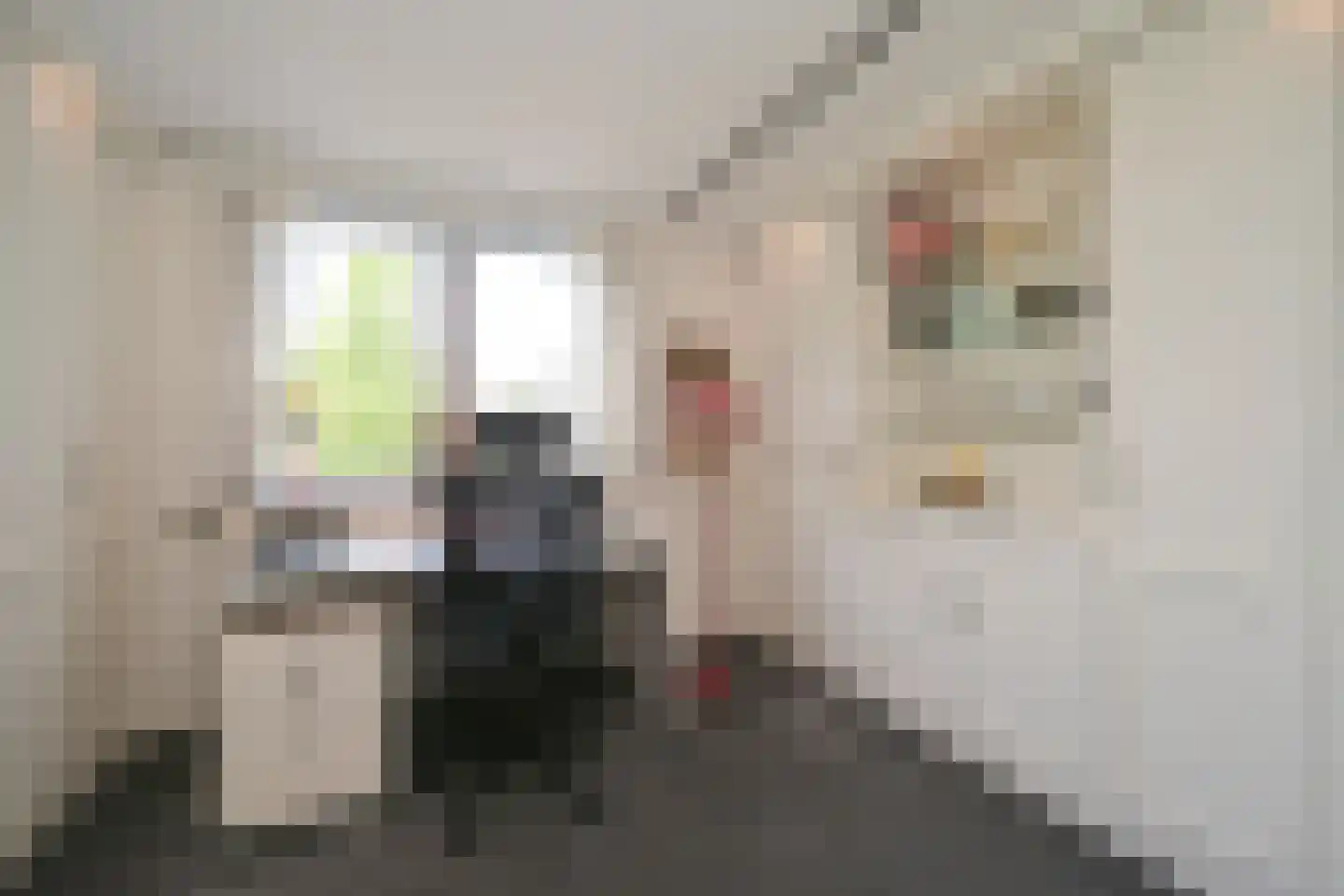 Roerdomperf 12 Voorschoten thumbnail 19