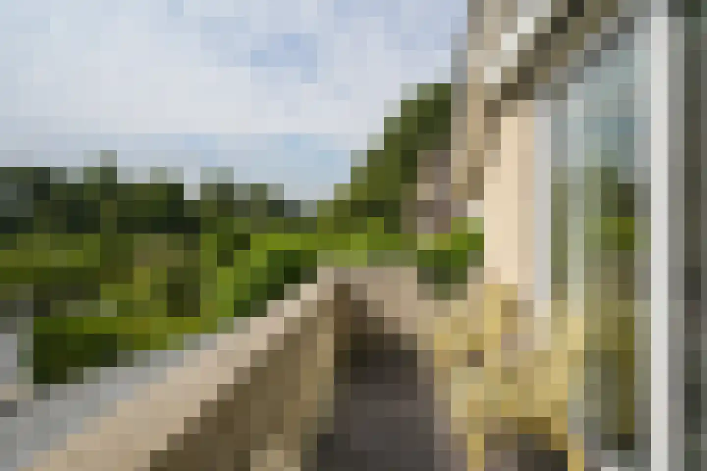 Roerdomperf 12 Voorschoten thumbnail 21