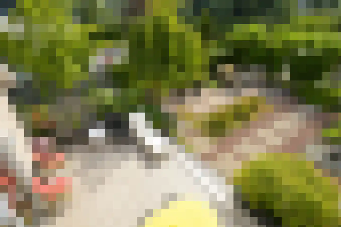Roerdomperf 12 Voorschoten thumbnail 22