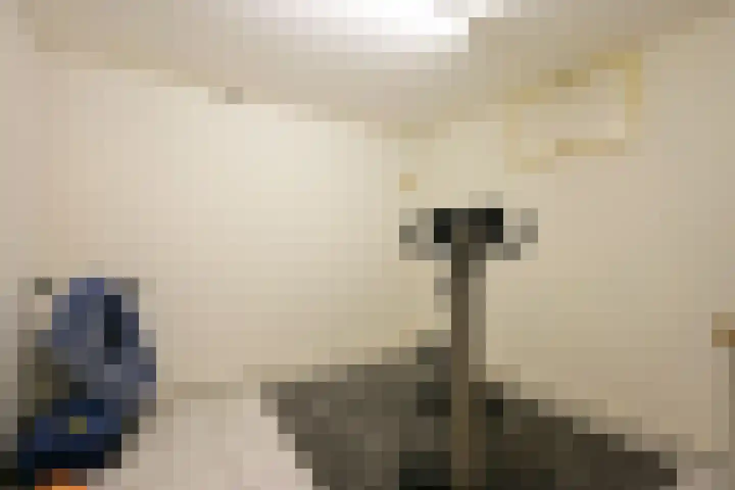 Roerdomperf 12 Voorschoten thumbnail 30