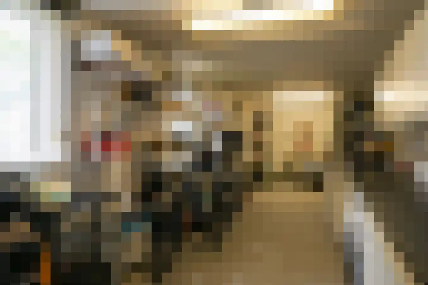Roerdomperf 12 Voorschoten thumbnail 31