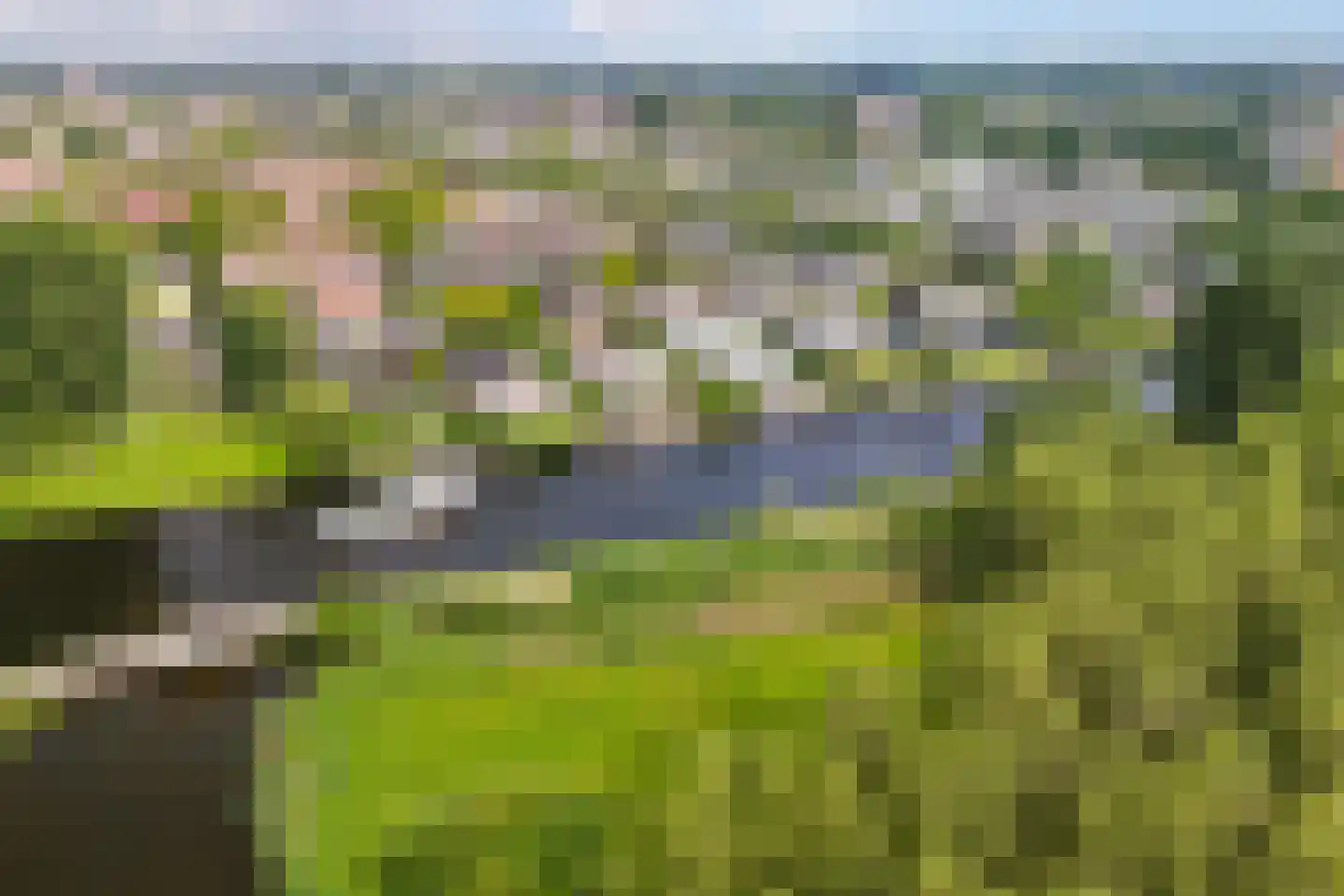 Roerdomperf 12 Voorschoten thumbnail 32