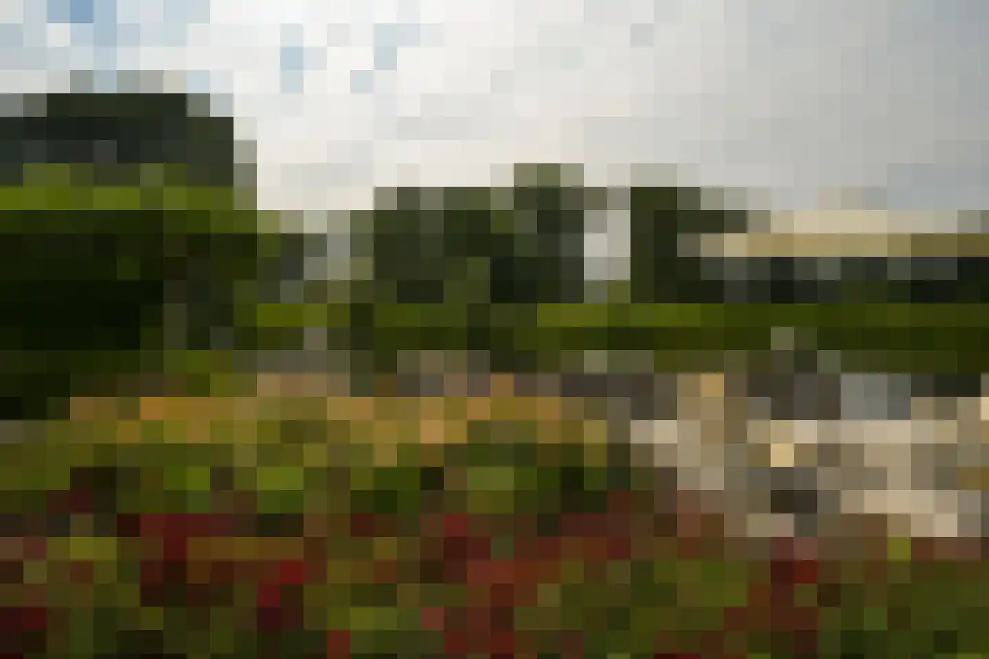 Roerdomperf 12 Voorschoten thumbnail 33