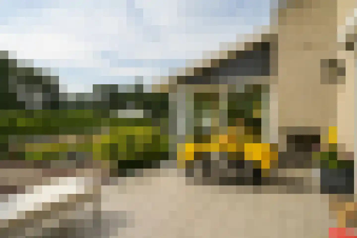 Roerdomperf 12 Voorschoten thumbnail 9