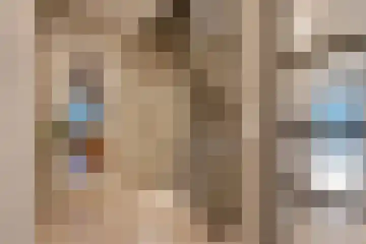 Roerdomperf 14 Voorschoten thumbnail 11