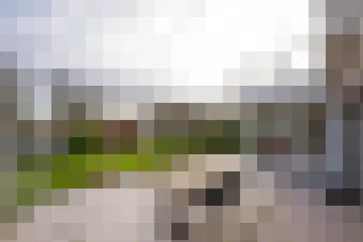 Roerdomperf 14 Voorschoten thumbnail 21