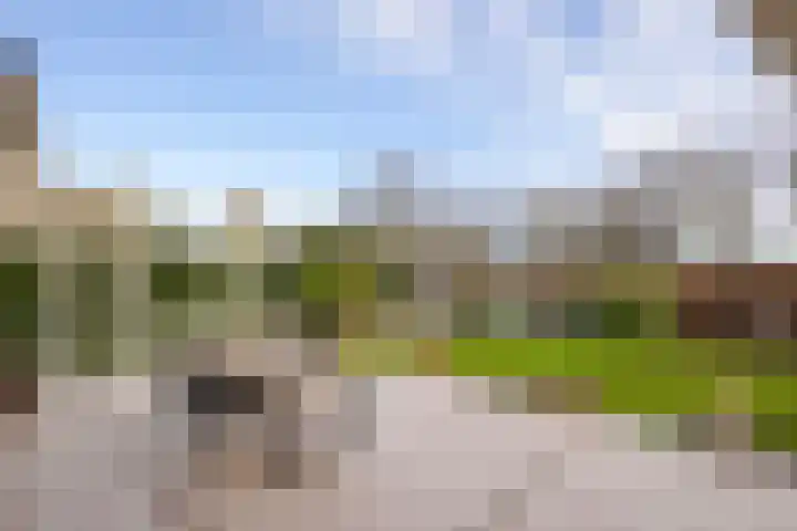 Roerdomperf 14 Voorschoten thumbnail 22