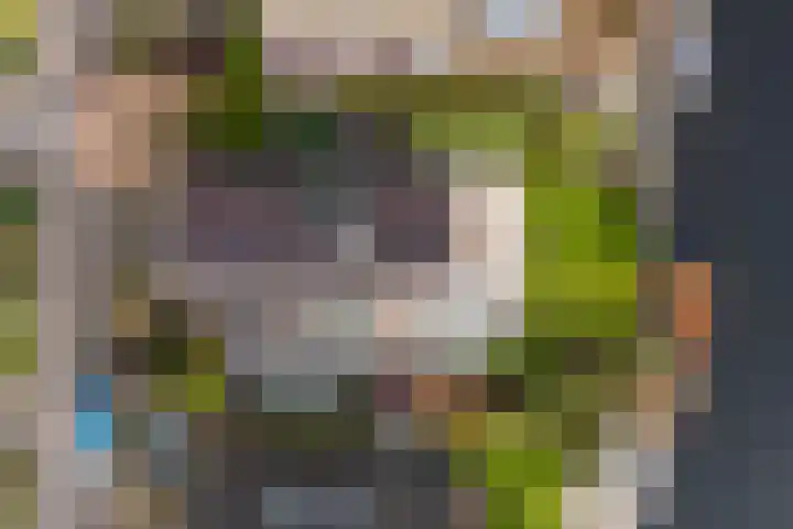Roerdomperf 14 Voorschoten thumbnail 23