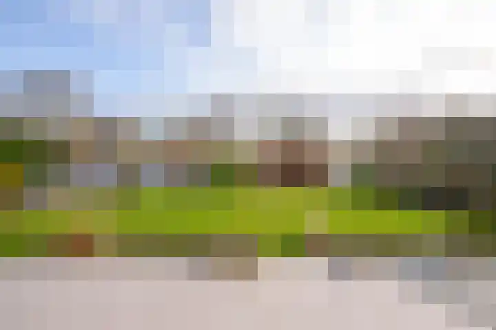 Roerdomperf 14 Voorschoten thumbnail 24
