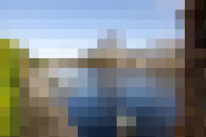 Roerdomperf 14 Voorschoten thumbnail 26