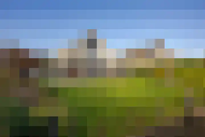 Roerdomperf 14 Voorschoten thumbnail 27