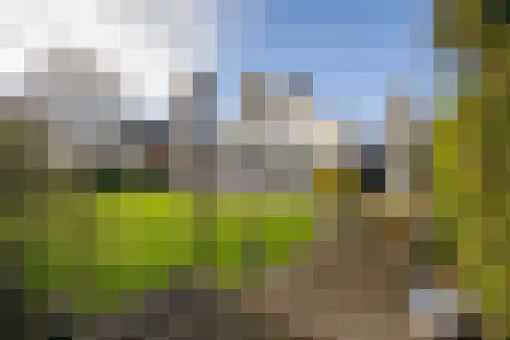 Roerdomperf 14 Voorschoten thumbnail 29