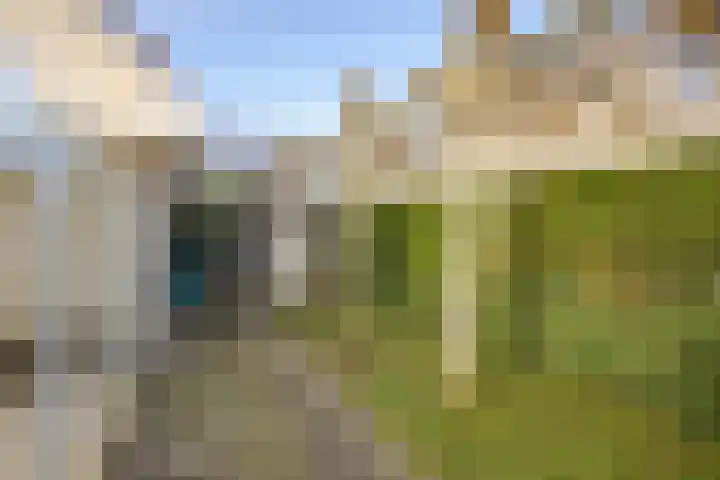 Roerdomperf 14 Voorschoten thumbnail 32