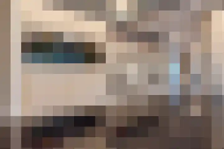 Roerdomperf 14 Voorschoten thumbnail 37