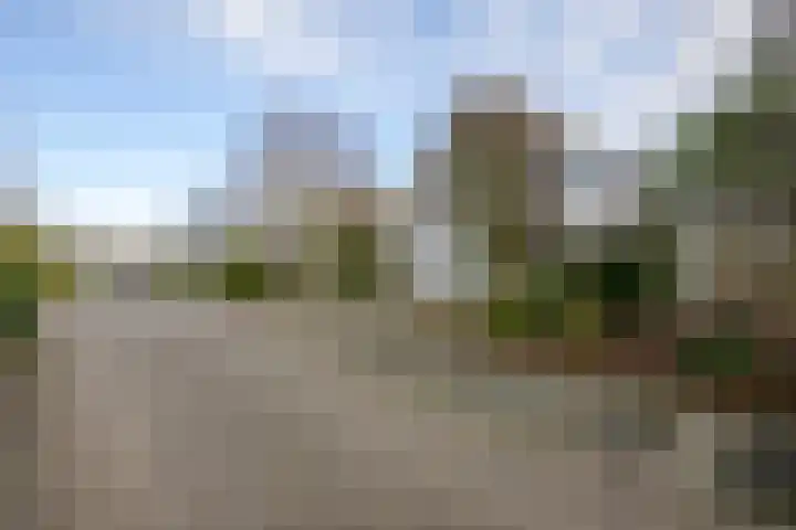 Roerdomperf 14 Voorschoten thumbnail 4