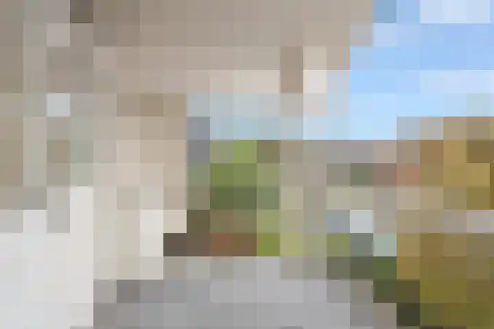 Roerdomperf 14 Voorschoten thumbnail 40
