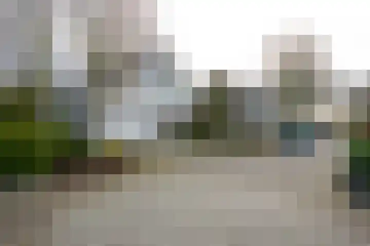 Roerdomperf 14 Voorschoten thumbnail 5
