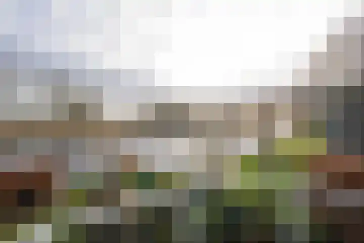 Roerdomperf 14 Voorschoten thumbnail 50