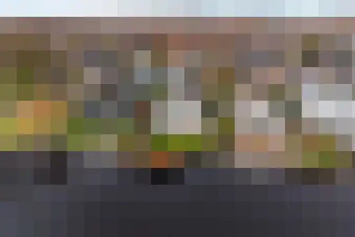 Roerdomperf 14 Voorschoten thumbnail 57