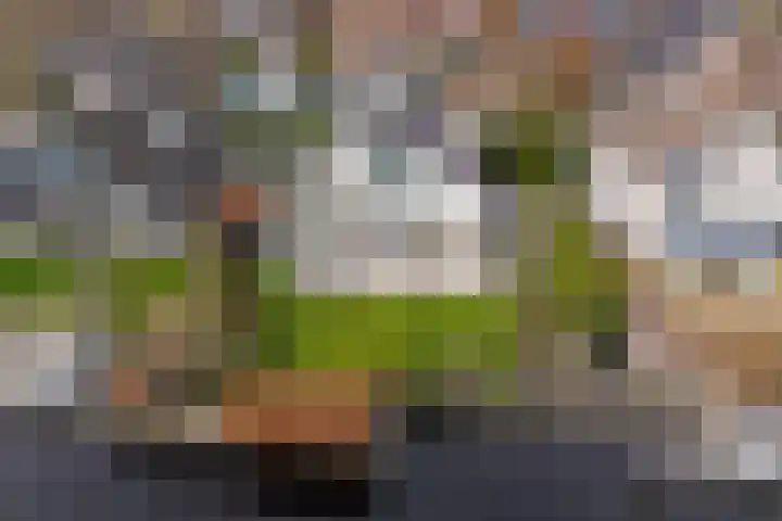 Roerdomperf 14 Voorschoten thumbnail 58