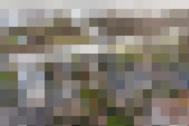 Roerdomperf 14 Voorschoten thumbnail 59