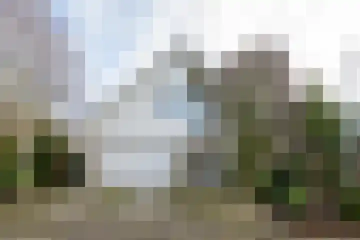 Roerdomperf 14 Voorschoten thumbnail 6