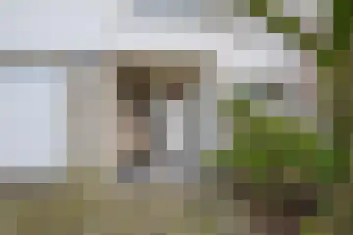 Roerdomperf 14 Voorschoten thumbnail 7