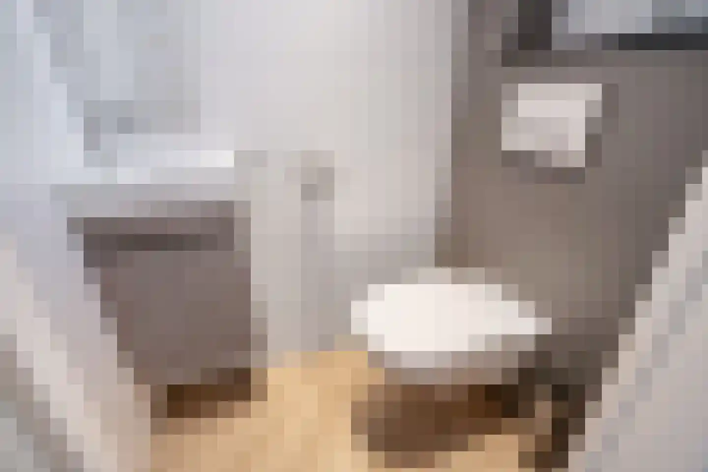 Roerdomphof 15 Delft thumbnail 17