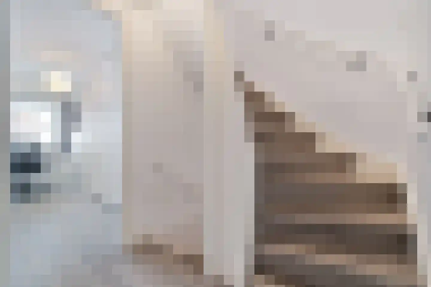 Roerdomphof 15 Delft thumbnail 18