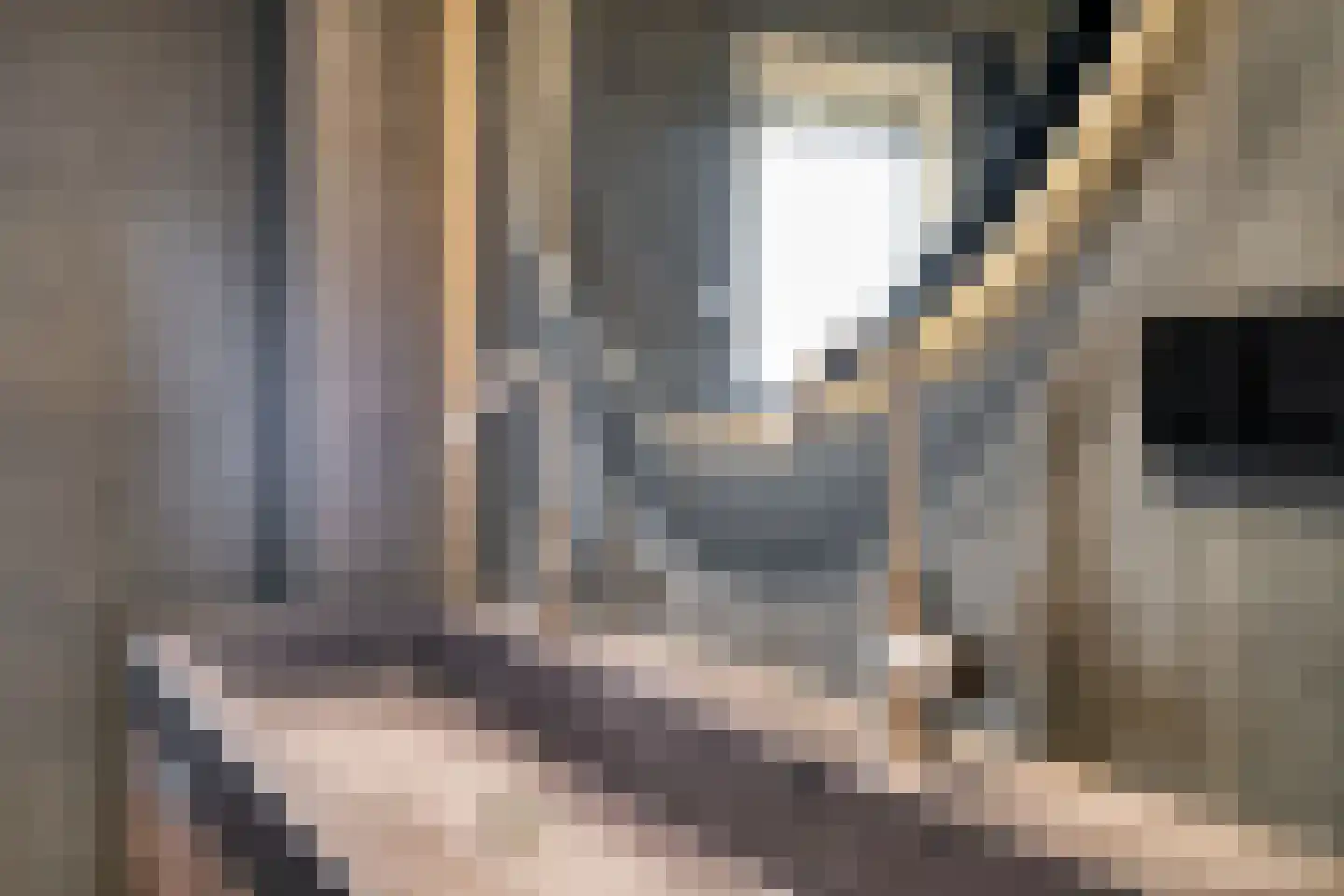 Roerdomphof 15 Delft thumbnail 27