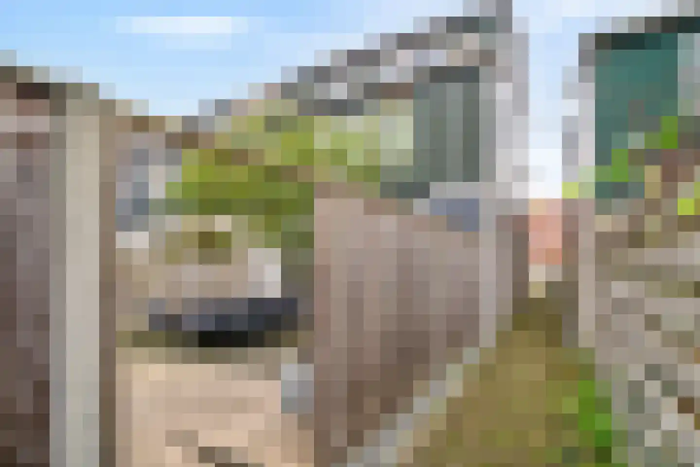 Roerdomphof 15 Delft thumbnail 43