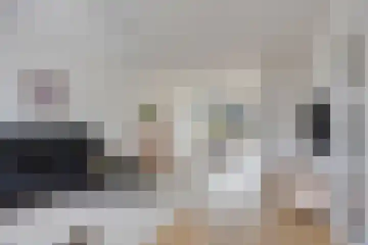 Roerdomphof 5 Dongen thumbnail 11