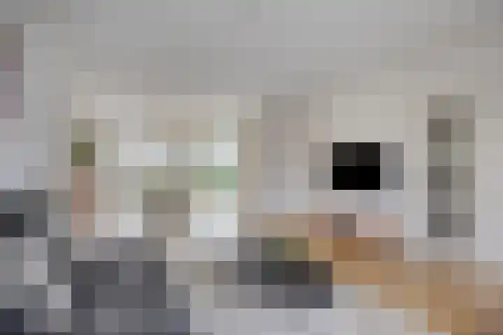 Roerdomphof 5 Dongen thumbnail 12