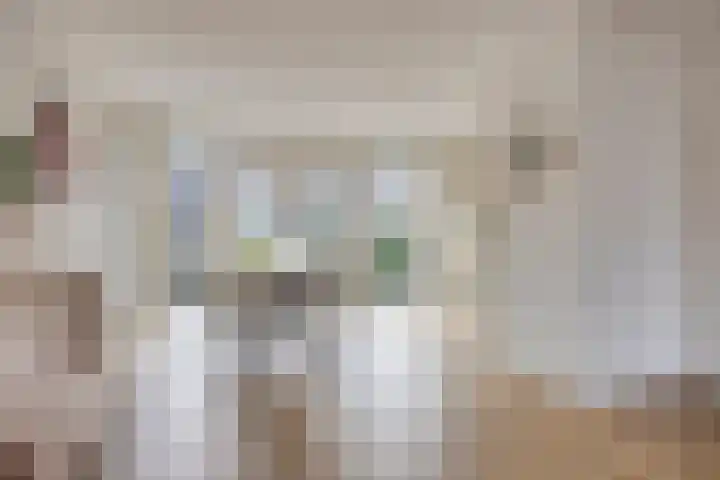 Roerdomphof 5 Dongen thumbnail 15