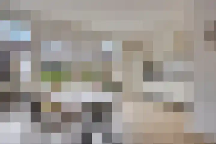 Roerdomphof 5 Dongen thumbnail 16