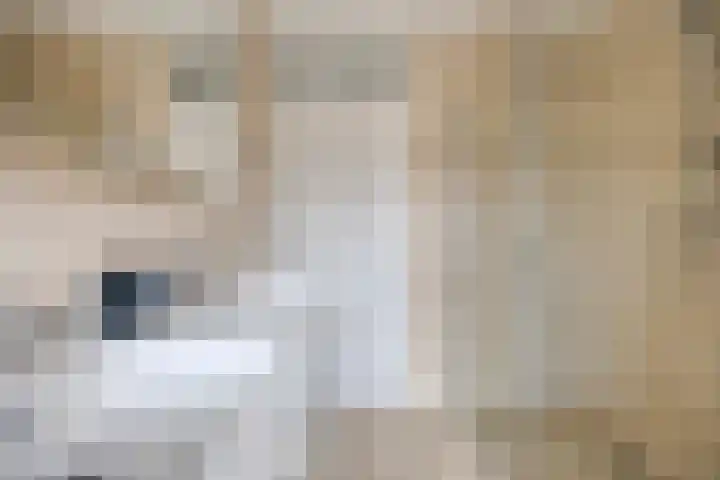 Roerdomphof 5 Dongen thumbnail 20