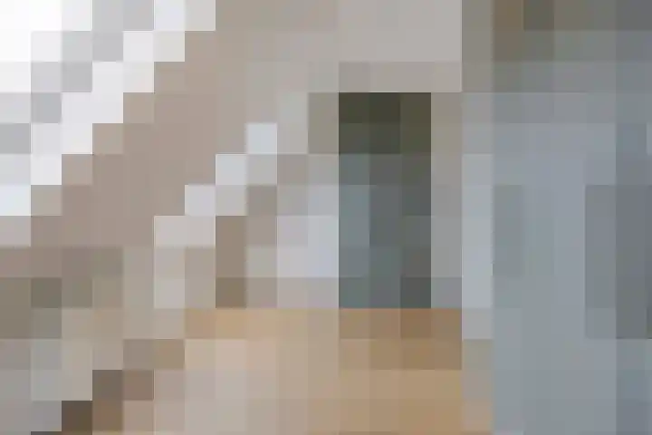 Roerdomphof 5 Dongen thumbnail 21
