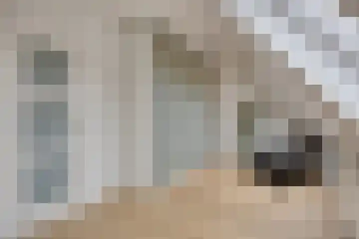 Roerdomphof 5 Dongen thumbnail 22