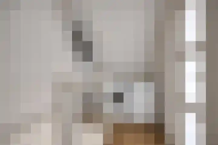 Roerdomphof 5 Dongen thumbnail 23