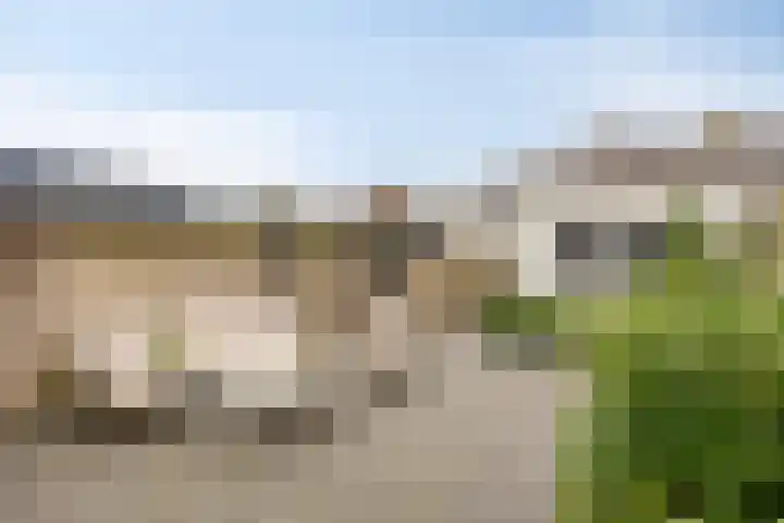 Roerdomphof 5 Dongen thumbnail 26