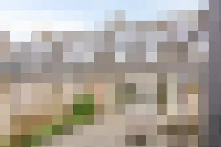 Roerdomphof 5 Dongen thumbnail 27