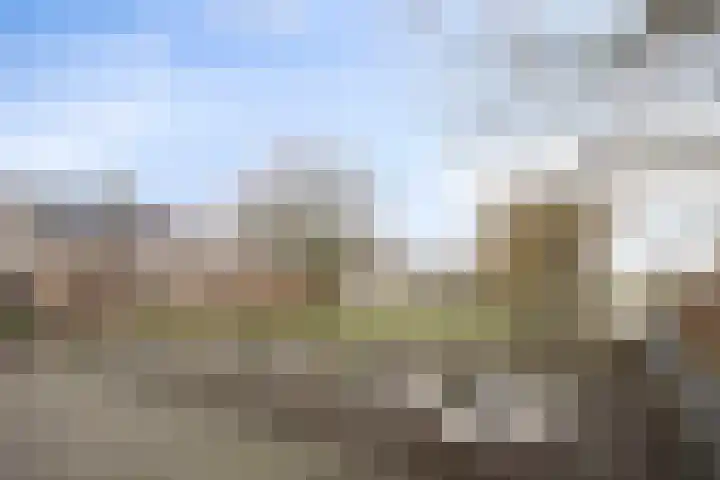Roerdomphof 5 Dongen thumbnail 29