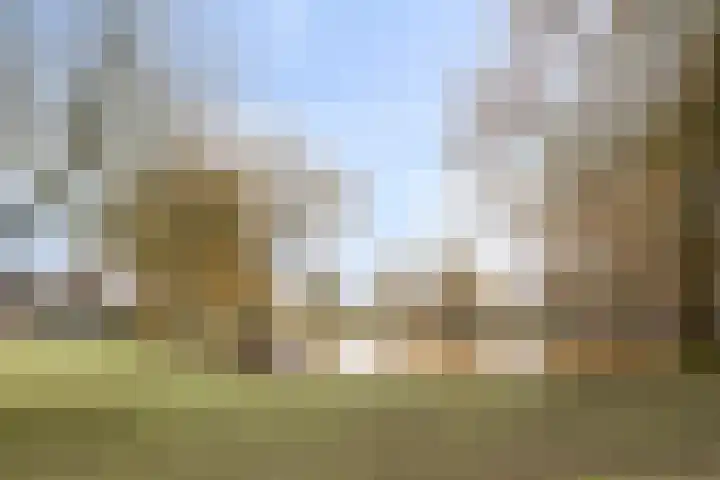 Roerdomphof 5 Dongen thumbnail 30