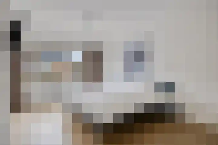 Roerdomphof 5 Dongen thumbnail 4