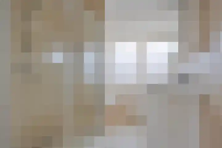 Roerdomphof 5 Dongen thumbnail 5